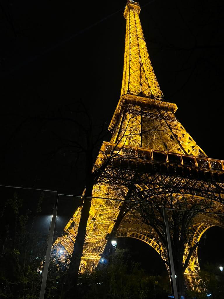 The Eiffel Tower lit up at night in Paris, France